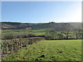 SO2090 : Field edge near Sarn, Powys by Jeremy Bolwell