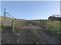 Upland track with cattle grid at the field boundary