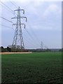 Pylons