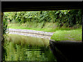 Under Quoisley Bridge near Willey Moor, Cheshire