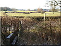 Footpath reaches Fryland Lane