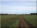 Bridleway near Child Pit Farm