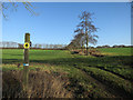 Footpath to Barrow