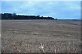 Stubble field at Auchenreoch