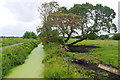 Rhyne on Butleigh Moor