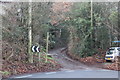 Lane to Pen-y-fan Pond opposite Horeb Chapel, Trinant