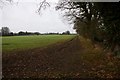 Bridlepath towards Bentley Manor