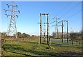 Power lines crossing the Aylestone Meadows