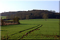 Tracks across the field