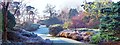 Frost on the Heather Garden, Virginia Water