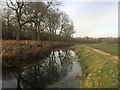 Ox bow lake formed from former course of the River Dearne #1