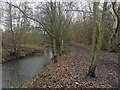 Path alongside the River Dove