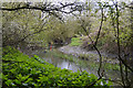 SP3576 : Downstream on the River Sowe past Willenhall, southeast Coventry by Robin Stott