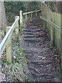 Footpath & Steps - Oakdale