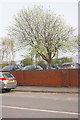 Wall of car park, Lincoln Street