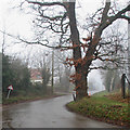 Waldringfield: School Road in winter