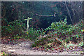 Footpath and signpost at the edge of golf course