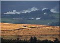 View across Hallam Moors to Moscar Heights