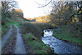 Bridleway towards West Ilkerton