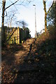 Steps between Mosshead Road and Kilmardinny Loch