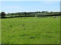 Farmland west of Parkham