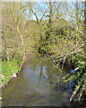 River Sowe upstream from the Southport Close footbridge, Willenhall, southeast Coventry