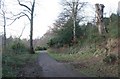 Path beside Kilmardinny Loch