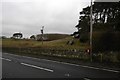 Postbox and pasture, Rochester