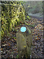 Bright blue bridleway