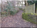 Footpath - Carrs Side Street