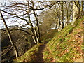 Path in Cleghorn Glen Nature Reserve