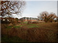 Staines - View from Footpath to Cornwall Way