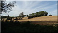 Rural scene at Fol Hollow near Congleton