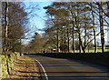 Oaks Road near the Mount St Bernard Abbey