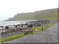 C9444 : The Giant's Causeway from Port Ganny (1) by David Hillas