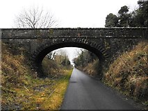 N3649 : Bridge on the Athlone to Mullingar Cycleway in Stokestown, Co. Westmeath by JP