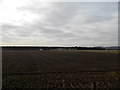 Farmland at Shanwell Farm