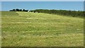 SS7723 : Harvested grass field, Ash Mill by Derek Harper