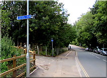 SX9293 : This way to the city centre from Prince of Wales Road, Exeter by Jaggery