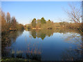 Lake in the woods