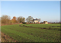 Towards Bank Farm in January