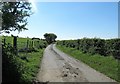 Country lane running in the direction of The Border