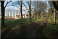 Footpath, Cowan Park, Barrhead