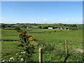 Sheugh below the Upper Darkley Road