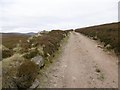 NO6184 : Bulldozed road, Glen Dye by Richard Webb