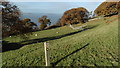 On coast path crossing field above Llanfairfechan