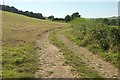 Field by Poadmarsh Hill