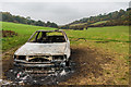 TQ3056 : Burnt out car by Ian Capper