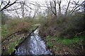 River Rea, Stirchley, Birmingham