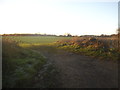 Field by House Lane, Sandridge